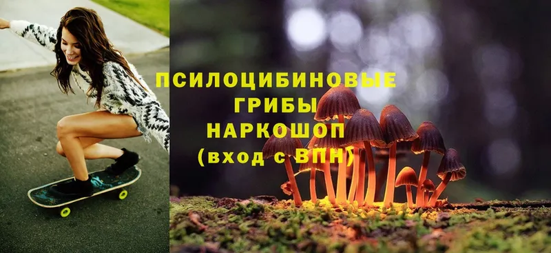 Псилоцибиновые грибы Magic Shrooms  купить наркотики сайты  Ульяновск 